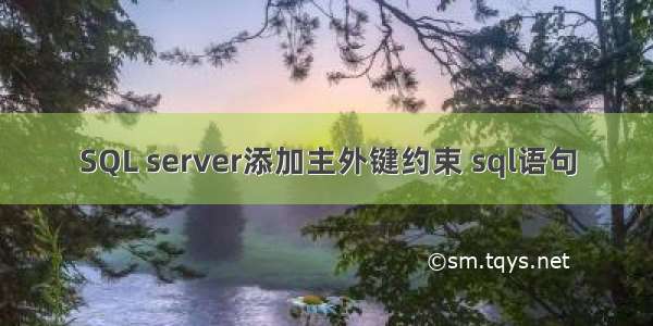 SQL server添加主外键约束 sql语句