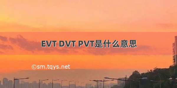 EVT DVT PVT是什么意思