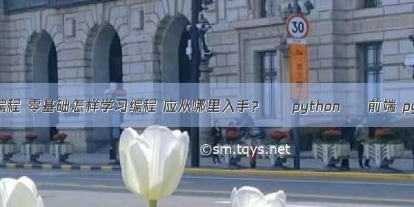 新手怎么学代码编程 零基础怎样学习编程 应从哪里入手？ – python – 前端 python 语言 招聘