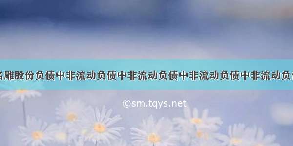 名雕股份负债中非流动负债中非流动负债中非流动负债中非流动负债