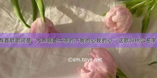 有首歌歌词是“大雨就要不停的下我的心我的心” 这歌叫什么名字？