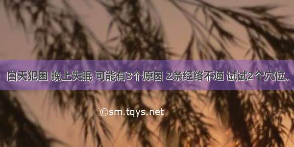 白天犯困 晚上失眠 可能有3个原因 2条经络不通 试试2个穴位。