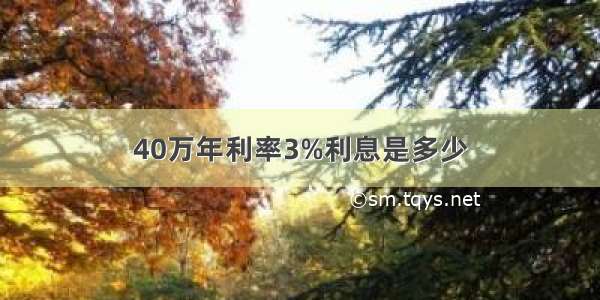 40万年利率3%利息是多少