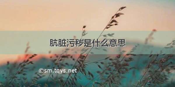 肮脏污秽是什么意思