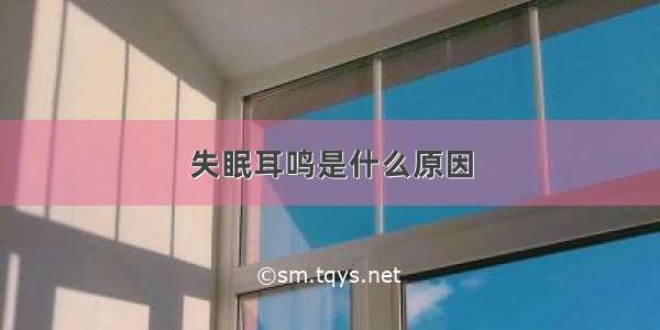 失眠耳鸣是什么原因