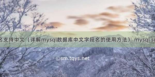 mysql字段名支持中文（详解mysql数据库中文字段名的使用方法） mysql sum函数 空行