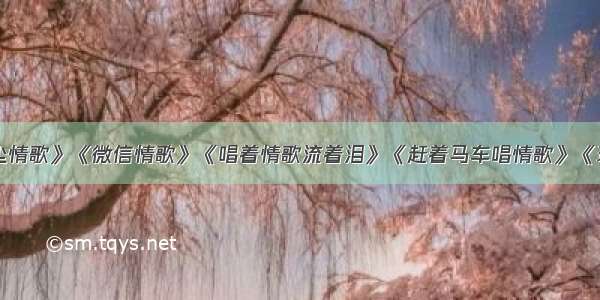 DJ好歌《红尘情歌》《微信情歌》《唱着情歌流着泪》《赶着马车唱情歌》《玛尼情歌》首