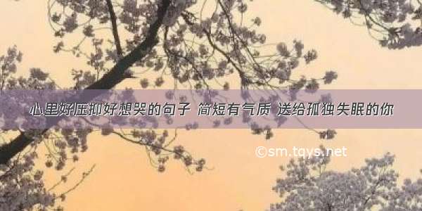 心里好压抑好想哭的句子 简短有气质 送给孤独失眠的你