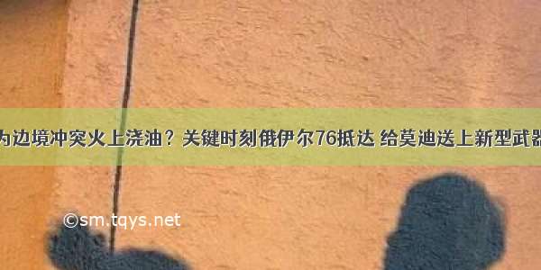 为边境冲突火上浇油？关键时刻俄伊尔76抵达 给莫迪送上新型武器