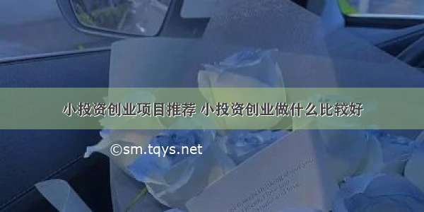 小投资创业项目推荐 小投资创业做什么比较好