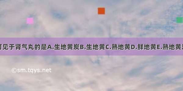 可见于肾气丸的是A.生地黄炭B.生地黄C.熟地黄D.鲜地黄E.熟地黄炭