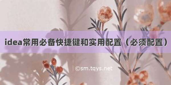 idea常用必备快捷键和实用配置（必须配置）