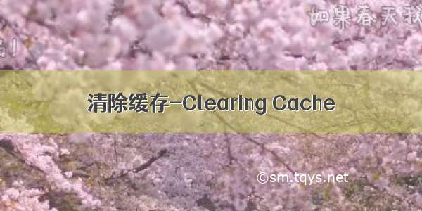 清除缓存-Clearing Cache