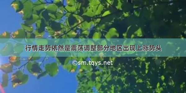 行情走势依然是震荡调整部分地区出现上涨势头