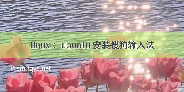 linux ：ubuntu 安装搜狗输入法
