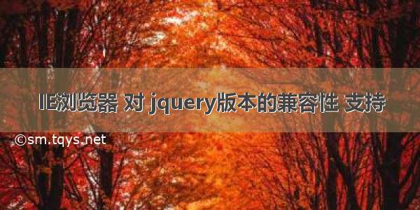 IE浏览器 对 jquery版本的兼容性 支持