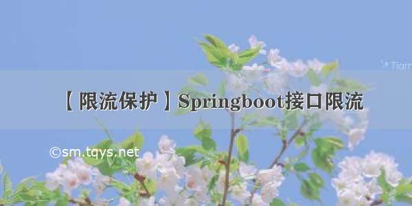 【限流保护】Springboot接口限流