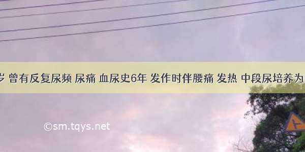 女 44岁 曾有反复尿频 尿痛 血尿史6年 发作时伴腰痛 发热 中段尿培养为大肠杆