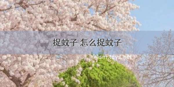 捉蚊子 怎么捉蚊子