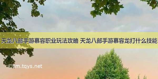 天龙八部手游慕容职业玩法攻略 天龙八部手游慕容龙打什么技能