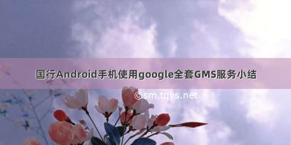国行Android手机使用google全套GMS服务小结