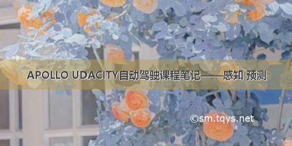 APOLLO UDACITY自动驾驶课程笔记——感知 预测