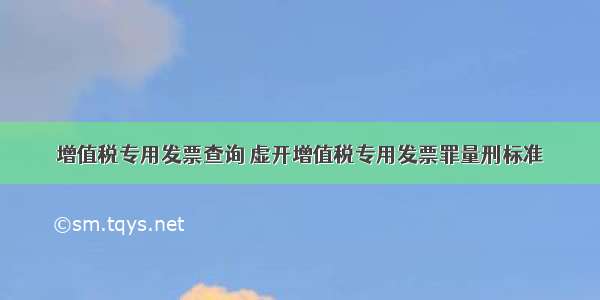 增值税专用发票查询 虚开增值税专用发票罪量刑标准