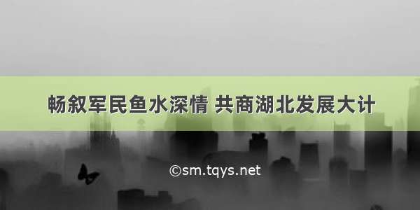 畅叙军民鱼水深情 共商湖北发展大计