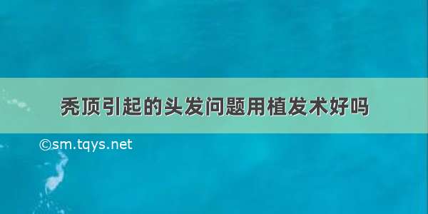 秃顶引起的头发问题用植发术好吗