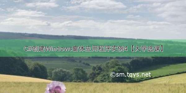 C#创建Windows窗体应用程序实例4【大学选课】