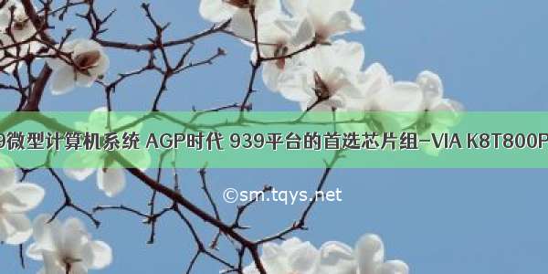 939微型计算机系统 AGP时代 939平台的首选芯片组-VIA K8T800Pro