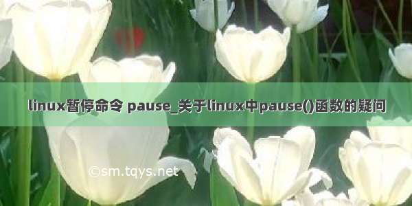 linux暂停命令 pause_关于linux中pause()函数的疑问