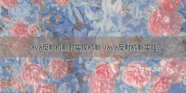 java反射机制的实现机制_Java反射机制实践