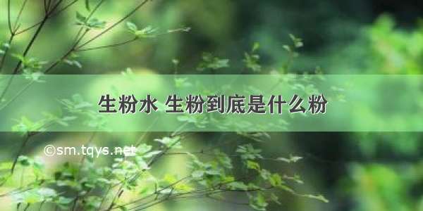 生粉水 生粉到底是什么粉