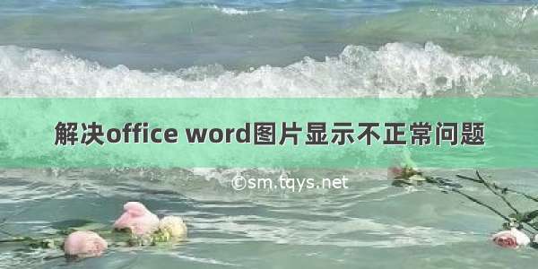 解决office word图片显示不正常问题