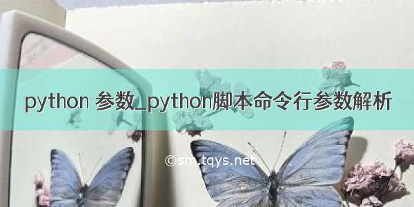 python 参数_python脚本命令行参数解析