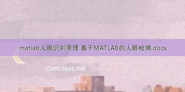 matlab人眼识别原理 基于MATLAB的人眼检测.docx