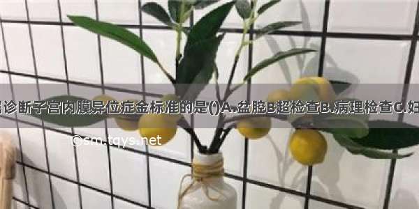 下列各项 属诊断子宫内膜异位症金标准的是()A.盆腔B超检查B.病理检查C.妇科检查D.腹