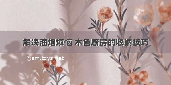 解决油烟烦恼 木色厨房的收纳技巧