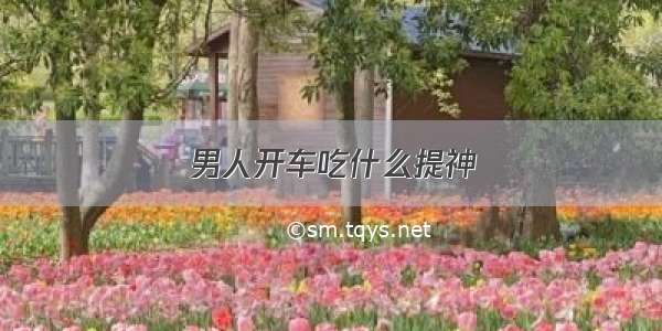 男人开车吃什么提神