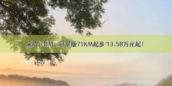 宋Pro DM-i冠军版71KM起步 13.58万元起！