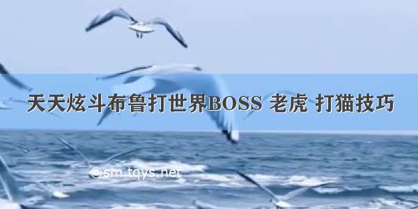 天天炫斗布鲁打世界BOSS 老虎 打猫技巧