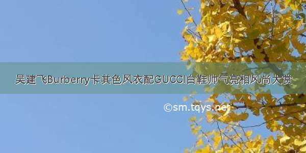 吴建飞Burberry卡其色风衣配GUCCI白鞋帅气亮相风尚大赏