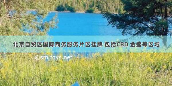 北京自贸区国际商务服务片区挂牌 包括CBD 金盏等区域