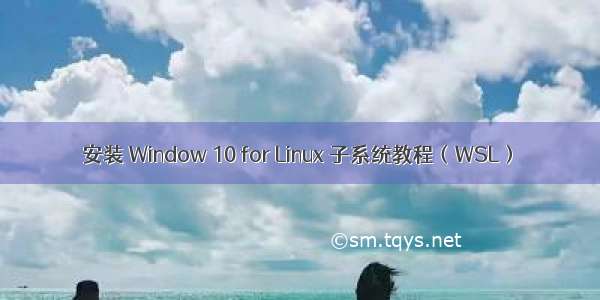 安装 Window 10 for Linux 子系统教程（WSL）