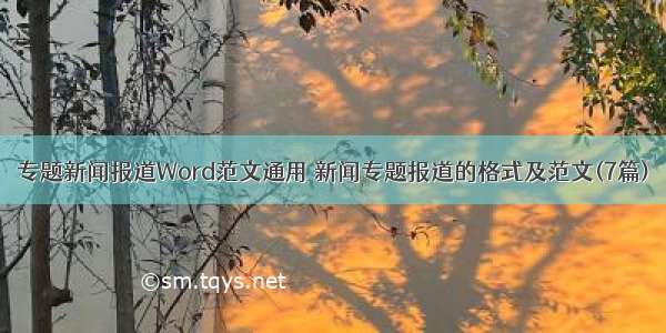 专题新闻报道Word范文通用 新闻专题报道的格式及范文(7篇)