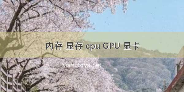 内存 显存 cpu GPU 显卡