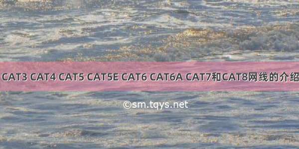 CAT3 CAT4 CAT5 CAT5E CAT6 CAT6A CAT7和CAT8网线的介绍