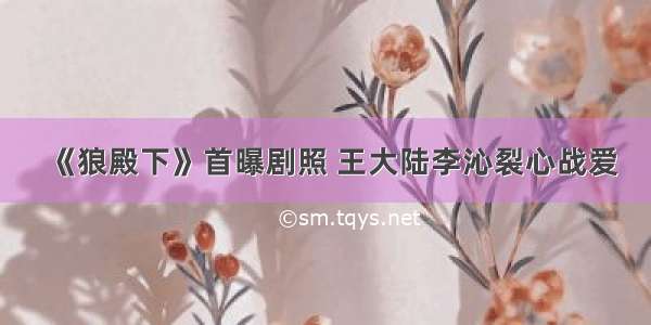 《狼殿下》首曝剧照 王大陆李沁裂心战爱