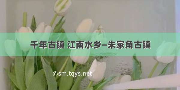 千年古镇 江南水乡—朱家角古镇